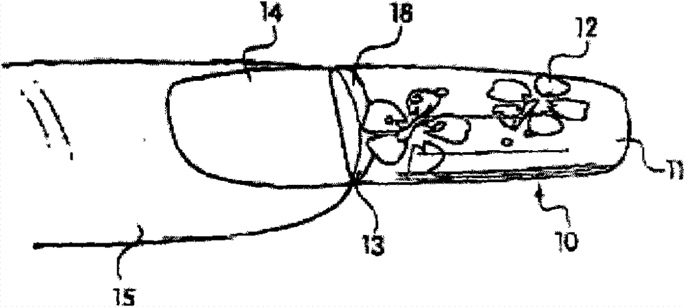 Artificial nails and method for manufacturing artificial nails