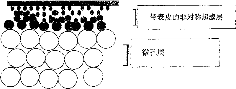 Ultrafiltration membrane and preparation method thereof