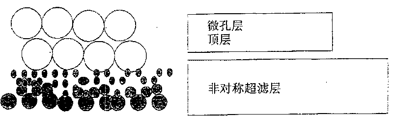 Ultrafiltration membrane and preparation method thereof