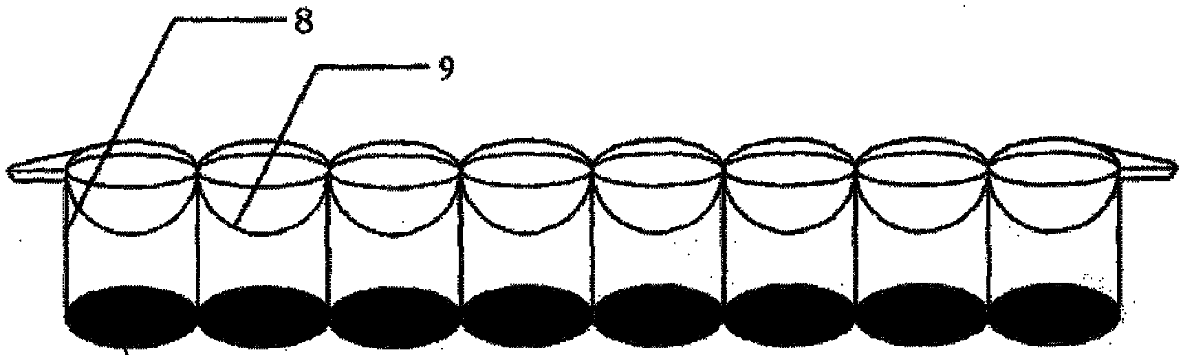 Test strip and method for detecting aflatoxin M1