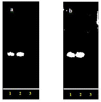 Cyclodextrin inclusion compound containing resibufogenin and preparation and application