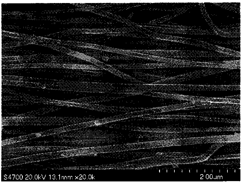 Biological activated carbon nano-fiber and preparation method thereof