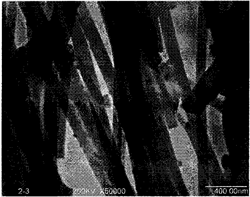 Biological activated carbon nano-fiber and preparation method thereof