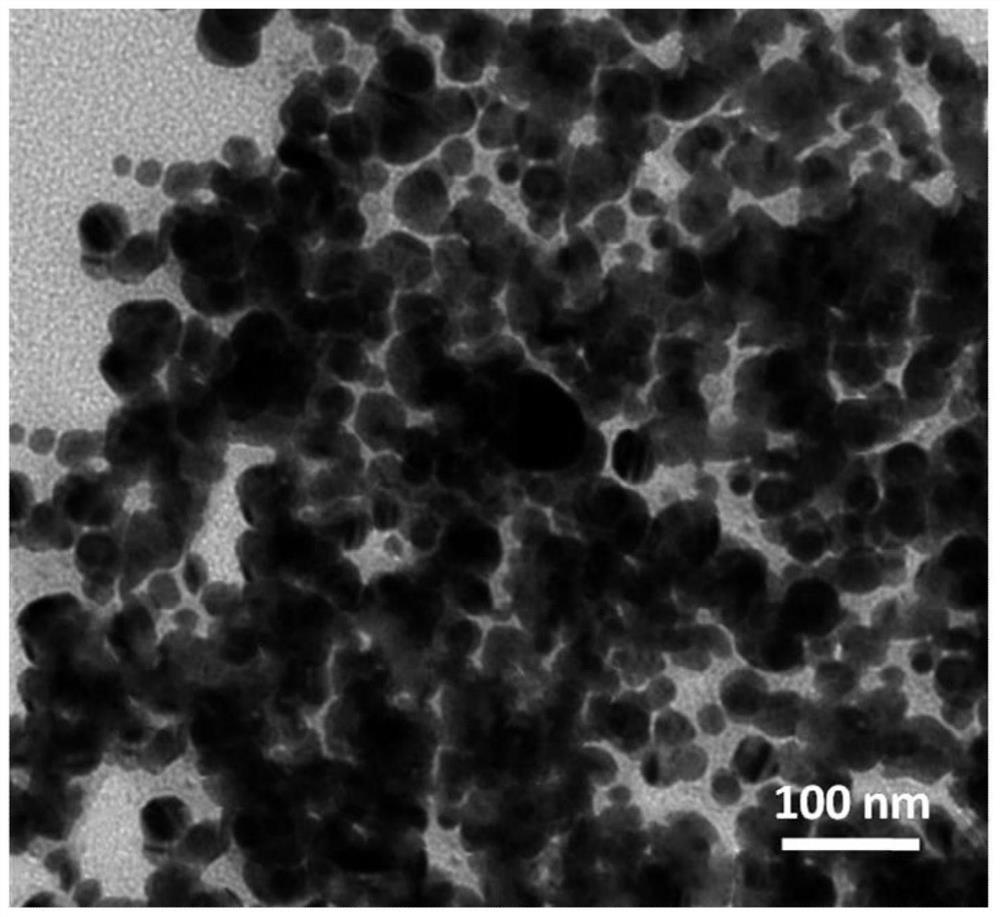 Sustained-release formulation of nano-zinc green tea coated with n-butyl cyanoacrylate and its application