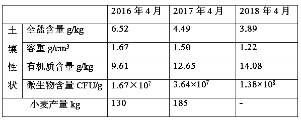 Method of improving soil quality of coastal saline soil by Sesbania cannabina/wheat rotation