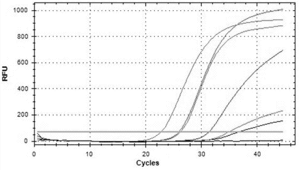 Primer, fluorescence probe and kit for quantitative detection of streptococcus pneumonia nucleic acid and detection method of streptococcus pneumonia nucleic acid