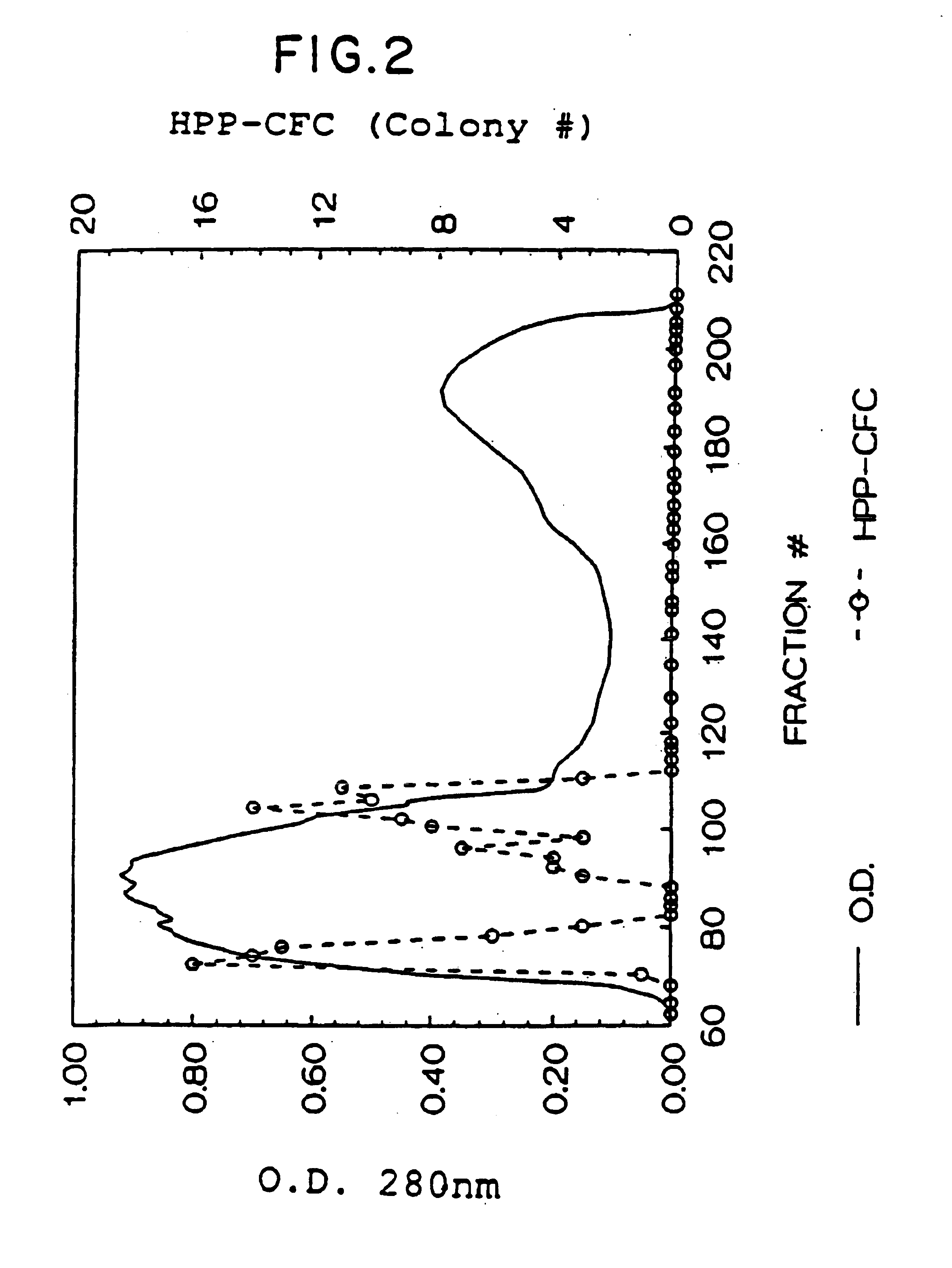 Method for increasing hematopoietic progenitor cells by stem cell factor