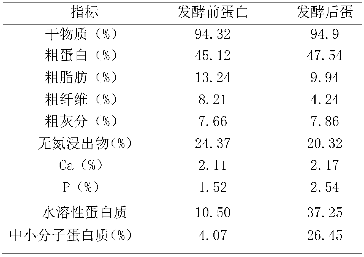 Protein feed preparation method for using microorganisms for fermenting hermetia illucens larvae