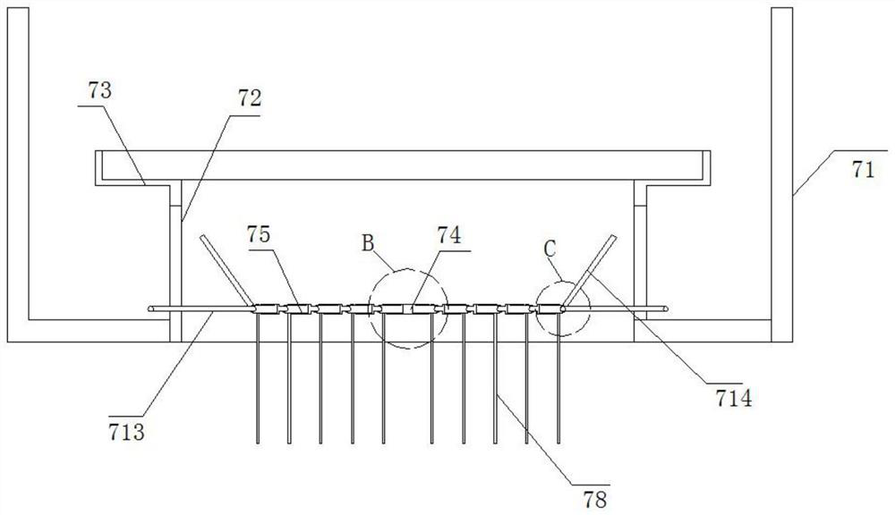 Leiocassis longirostris breeding tail water purification method