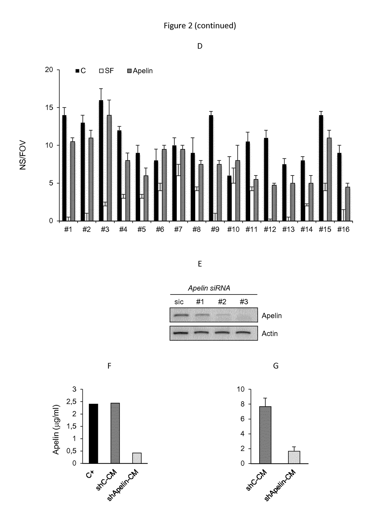 Use of compounds inhibiting apelin / apj / gp130 signaling for treating cancer