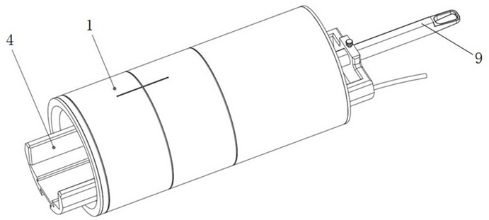 Rodent small animal imaging device for ultrahigh-field magnetic resonance imaging system