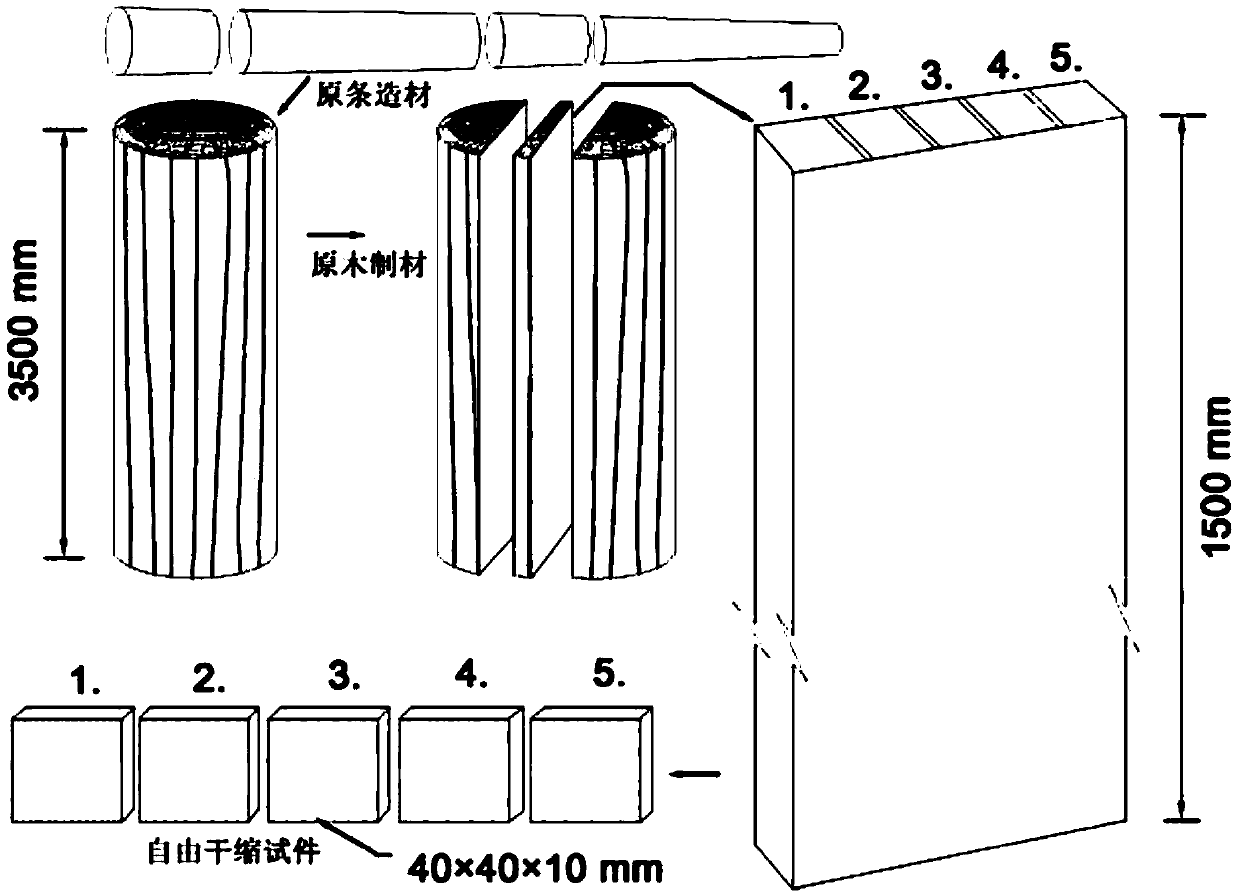 A Method for Evaluating Drying Stress of Sawn Timber for Timber Quality Control