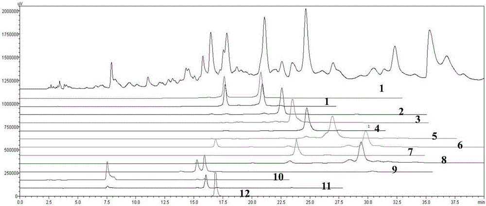 Myricaria germanica effective part, preparation method and use thereof