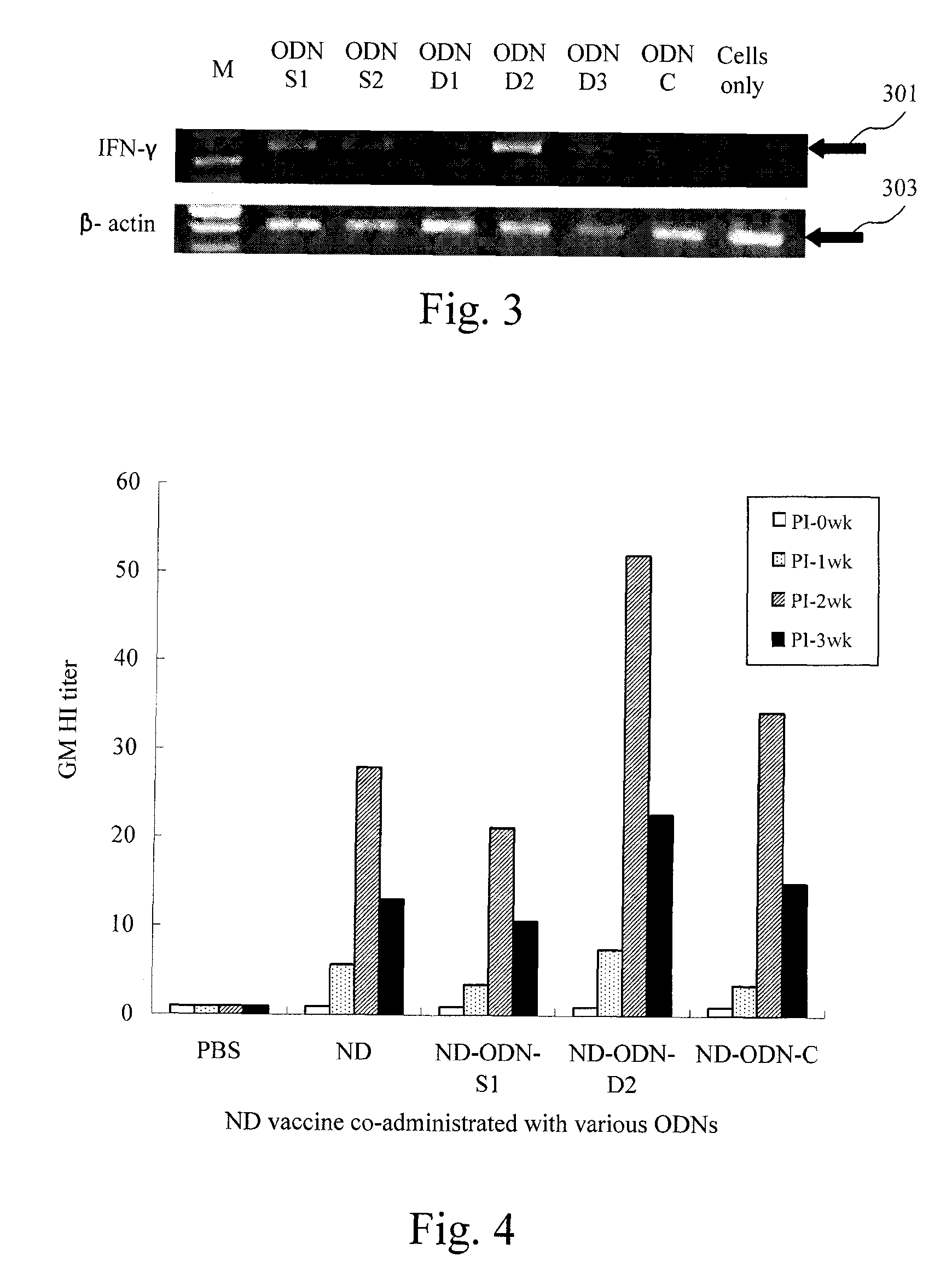 CpG DNA adjuvant in avian vaccines