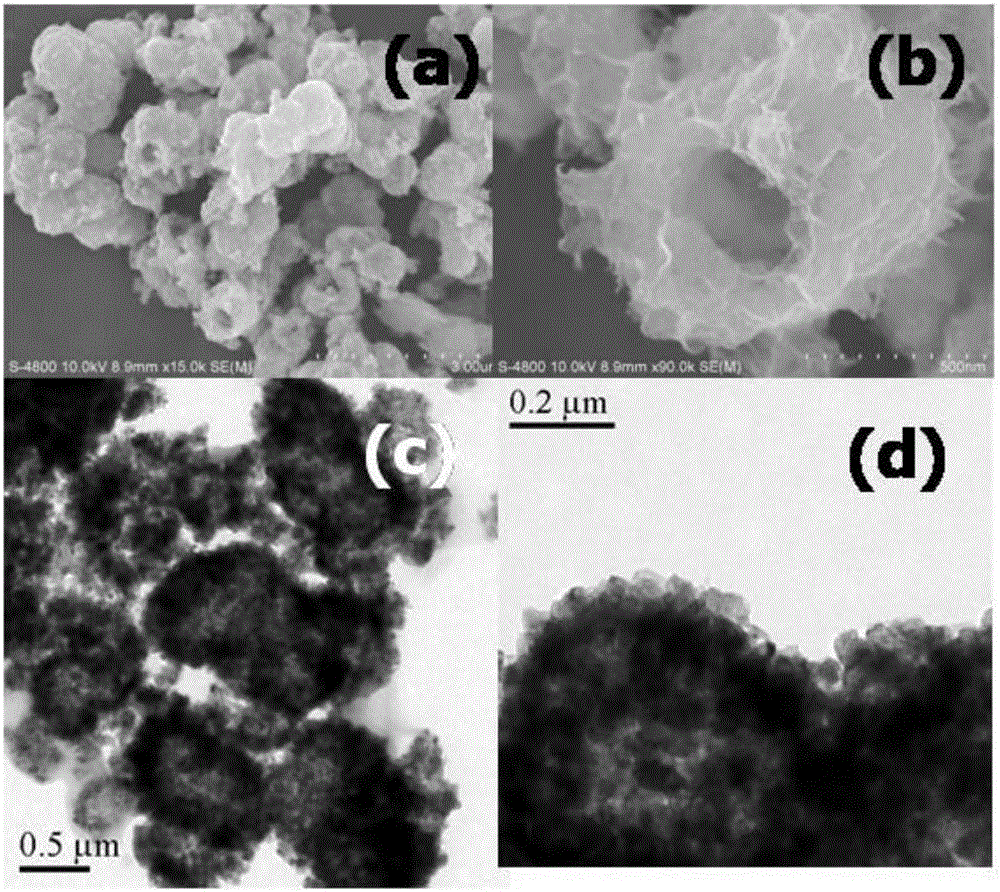 Method for preparing sea urchin shaped titanium dioxide hollow microsphere