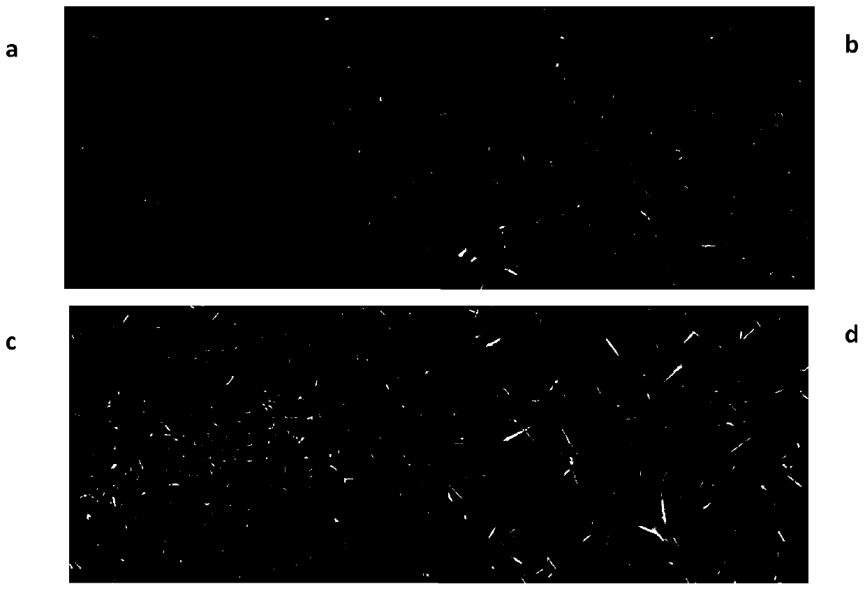 Egg yolk-phytosterol-polysaccharide composite emulsion gel and preparation method thereof