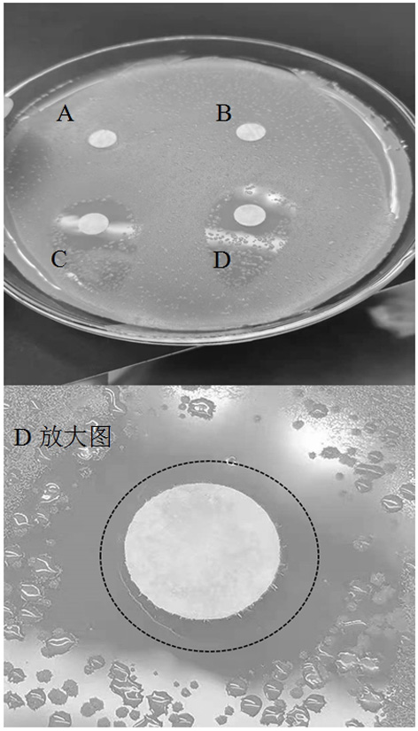 A kind of preparation method of borneol-triclosan compound antibacterial agent