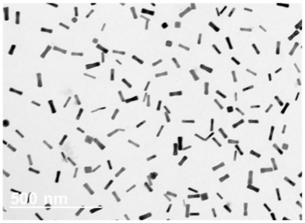 Nano-carrier material and preparation method and application thereof to preparation of antitumor drugs