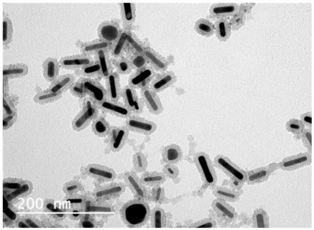 Nano-carrier material and preparation method and application thereof to preparation of antitumor drugs