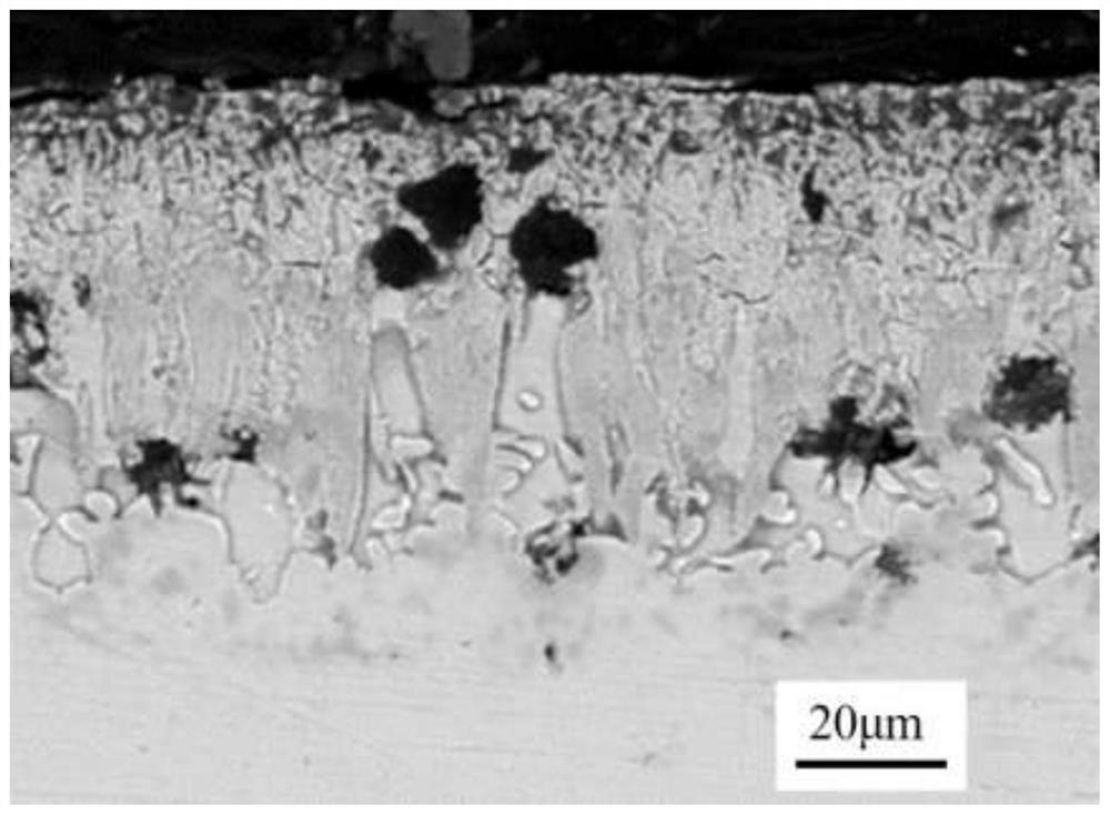 Preparation method adopting low-temperature boronizing for wear-resistant surface of nodular cast iron