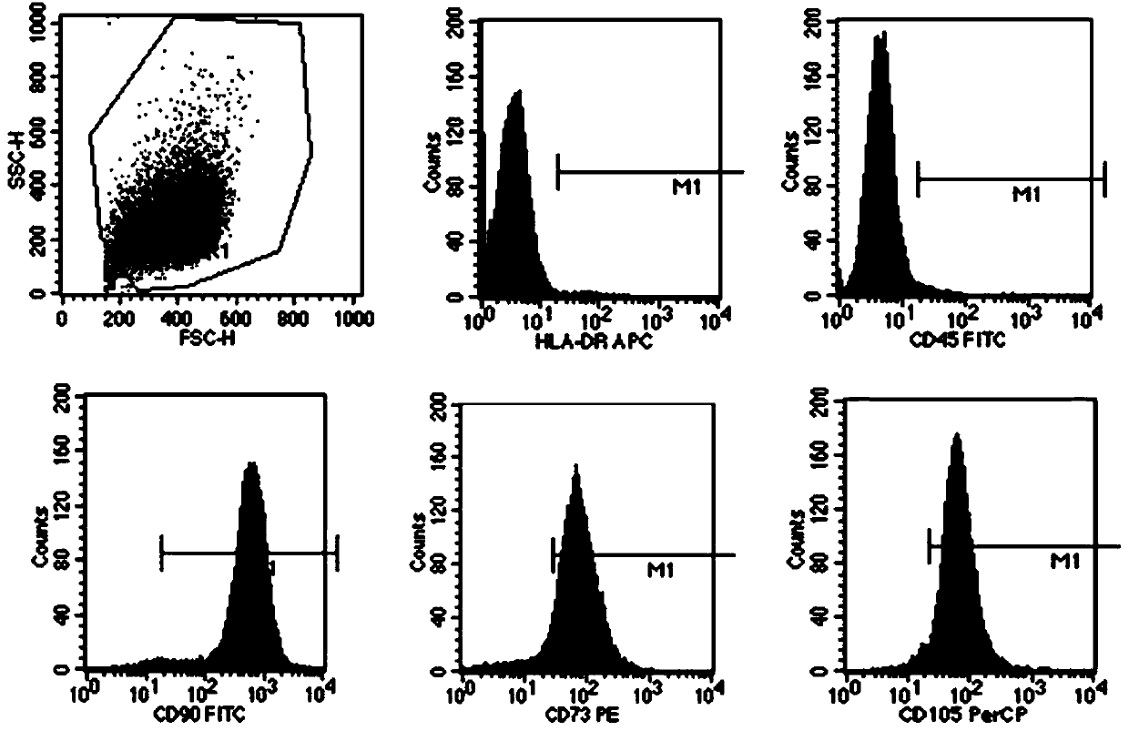 Dental pulp stem cell preparation method