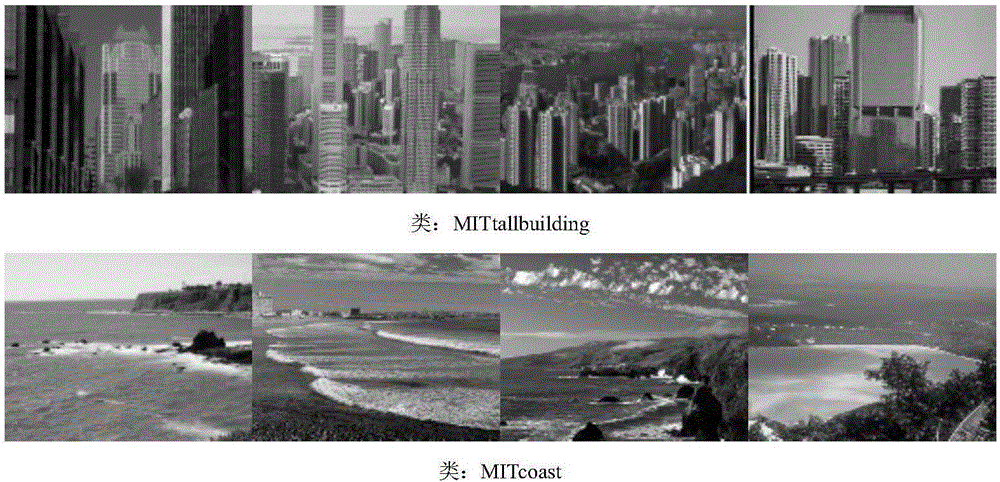 Image classification method through fast and locality-constrained low-rank coding process