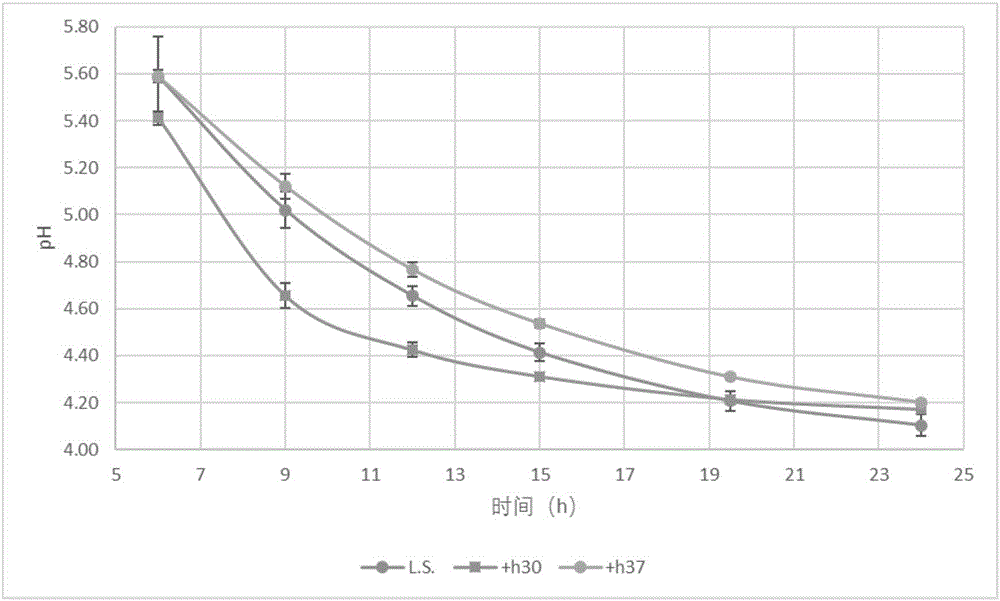 Lactococcus lactis and application thereof