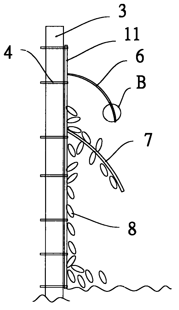 Snail ecological breeding system