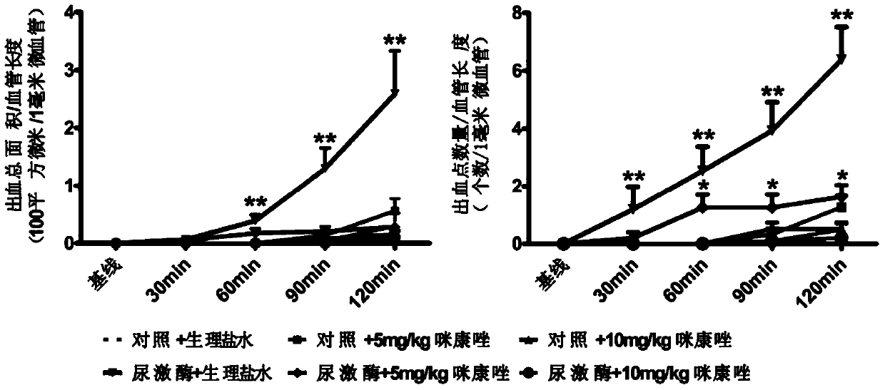 Application of Miconazole in Prevention of Vascular Rupture