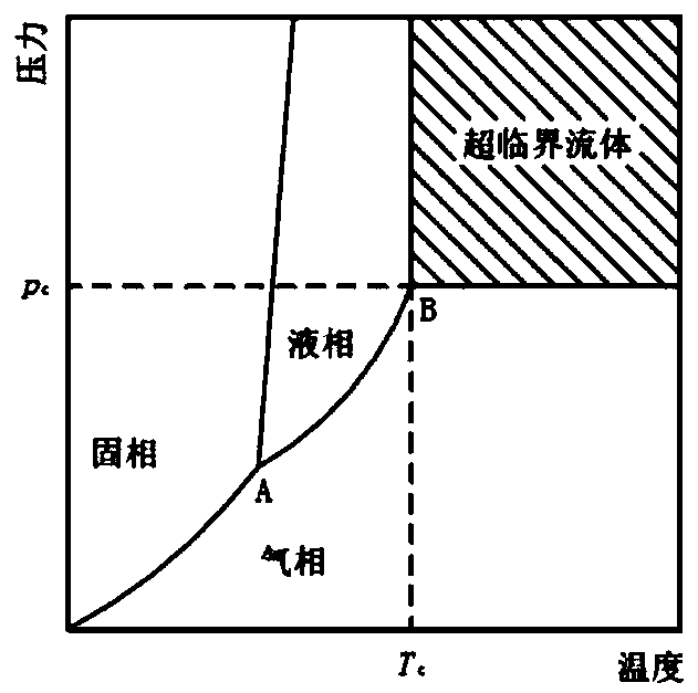 Lavender essential oil lipidosome liquid band-aid and preparation method thereof