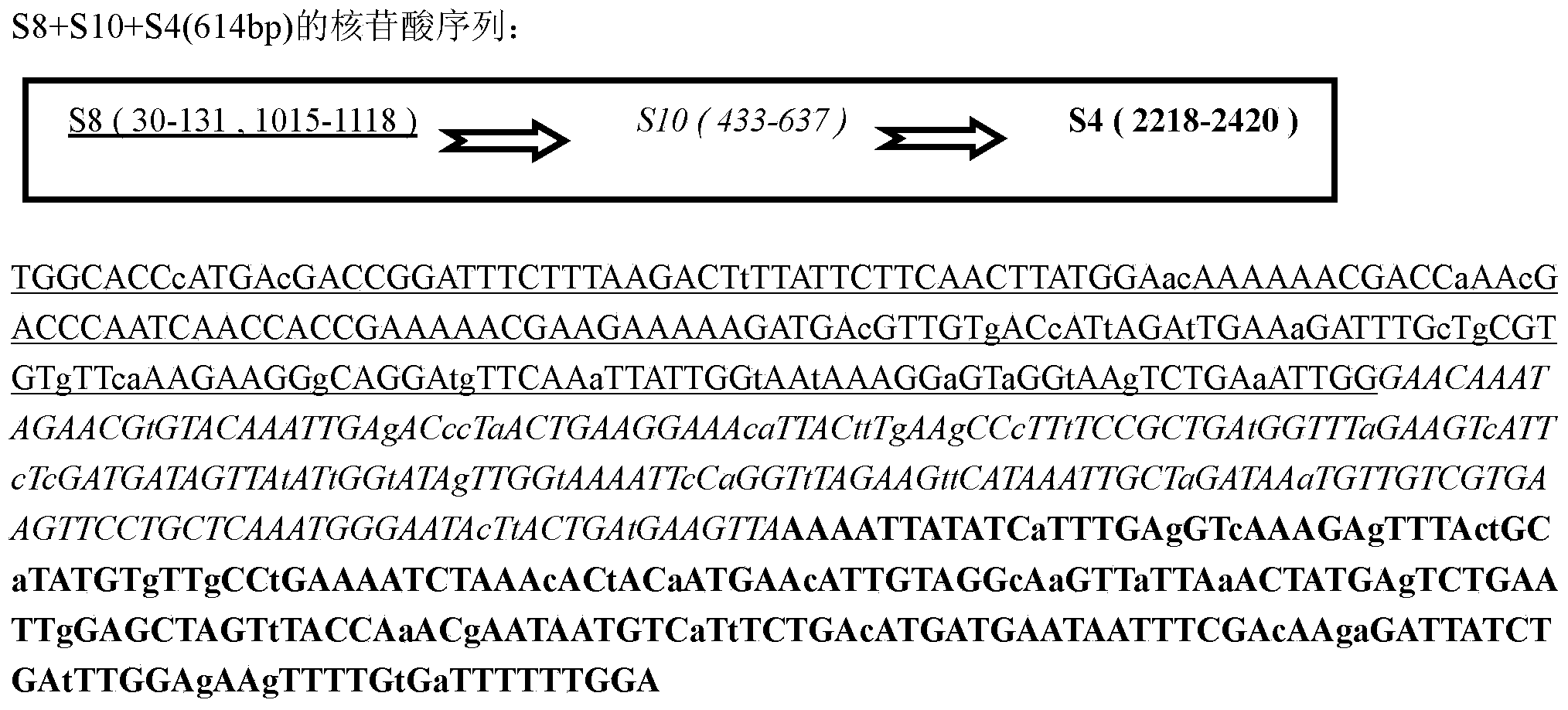 Rice black-streaked dwarf virus RNAi multivalent target gene sequence and application