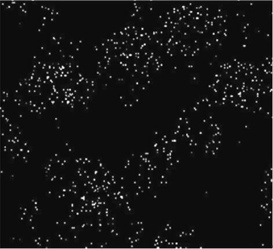 Low-cost high-strength full-biodegradable agricultural mulching film and in-situ reaction extrusion plasticizing compatibilization preparation process thereof