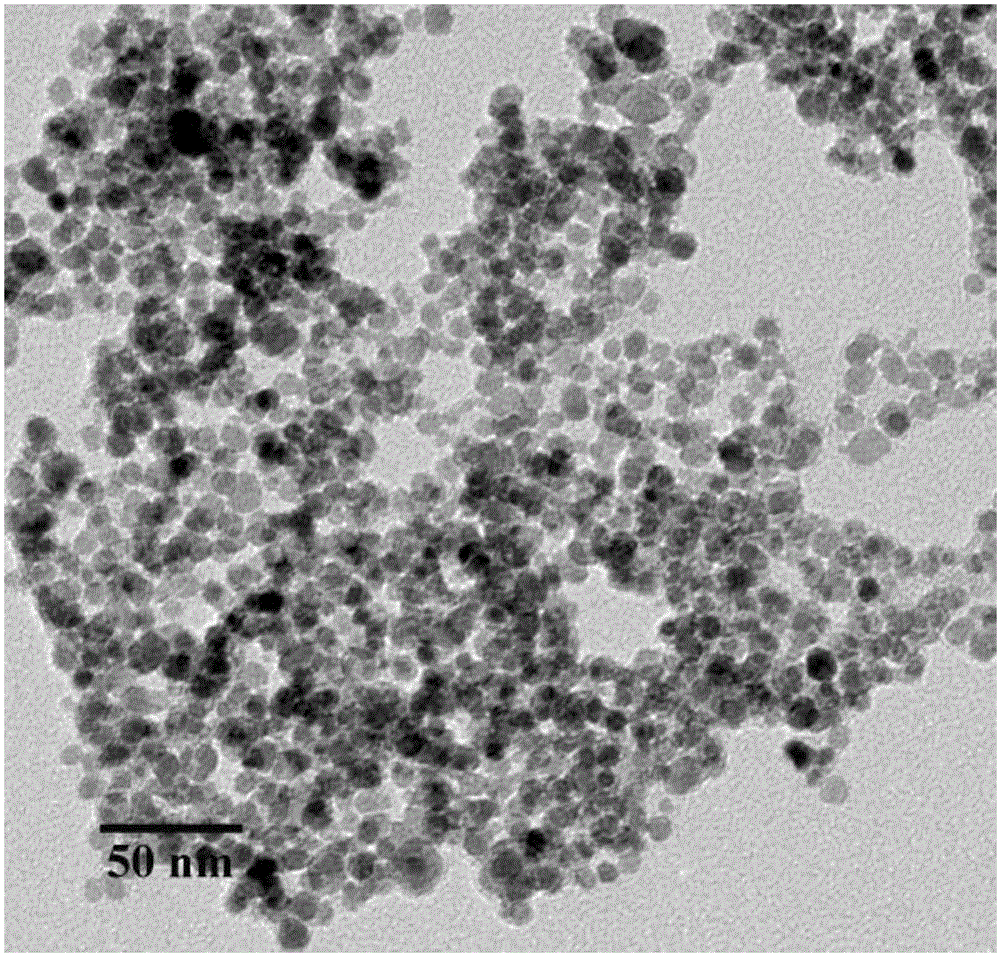 Preparation method of magnetic biochar loaded photosynthetic bacteria material and sewage treatment method