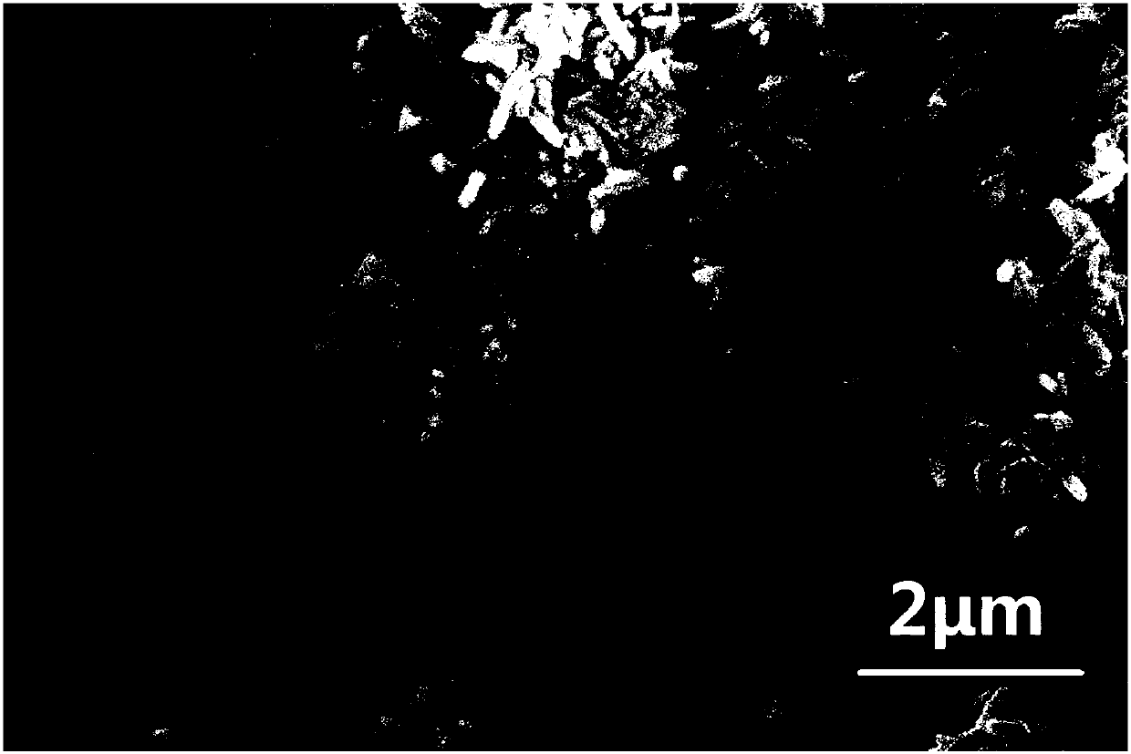 Preparation method of NaCl-modified graphene net-coated Beta-FeOOH lithium ion battery negative electrode material