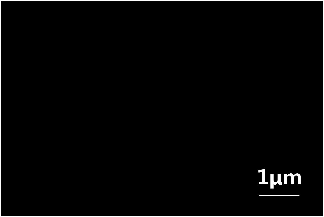 Preparation method of NaCl-modified graphene net-coated Beta-FeOOH lithium ion battery negative electrode material