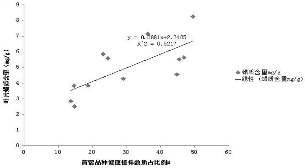 Method for identifying and evaluating aphid resistance grades of alfalfa varieties