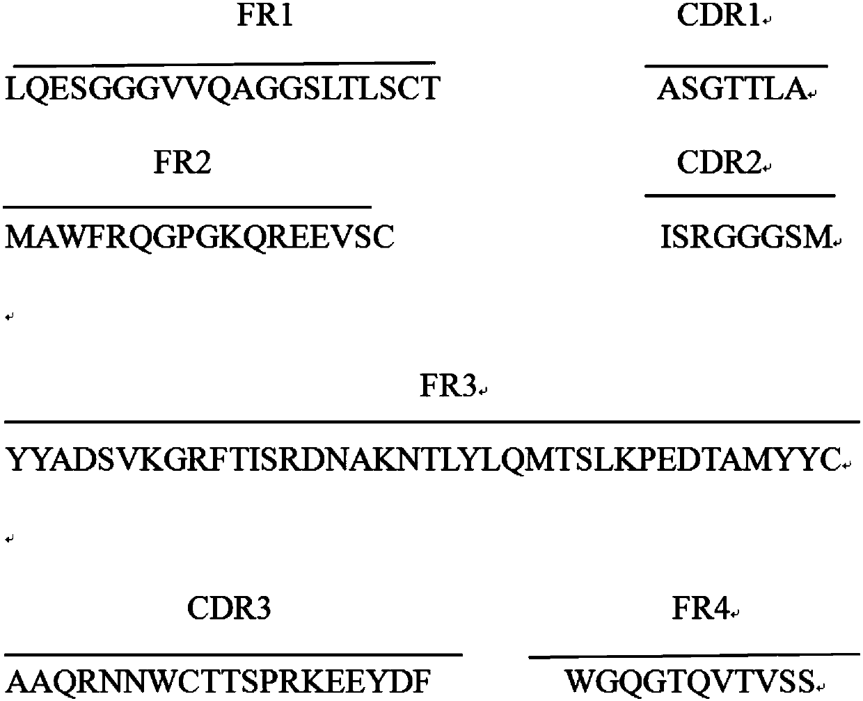 Anti-GST tag protein nano antibody and application thereof