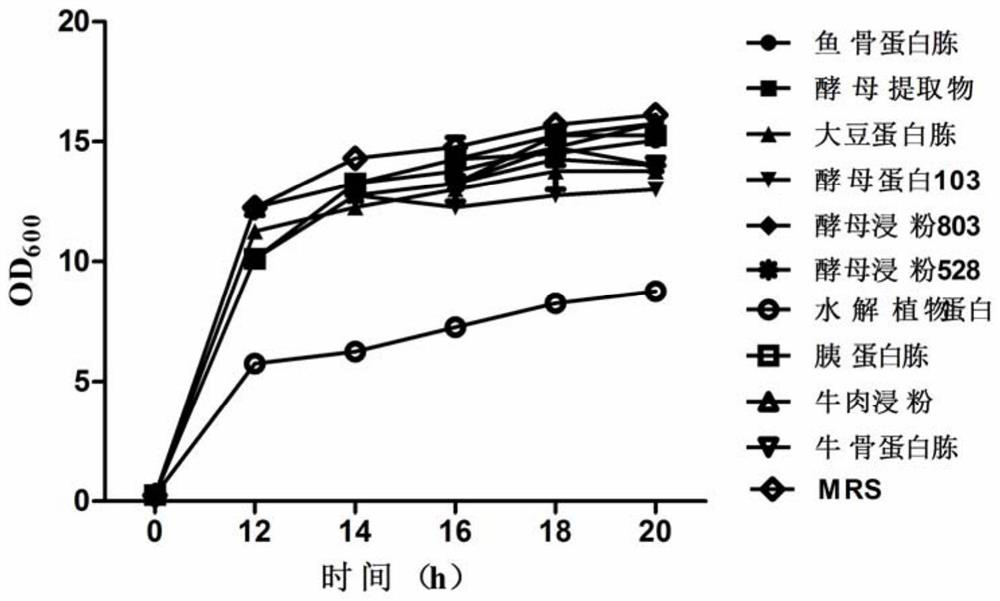 A medium for screening nitrogen sources suitable for the proliferation of bifidobacteria