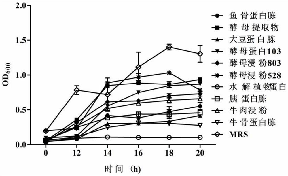 A medium for screening nitrogen sources suitable for the proliferation of bifidobacteria