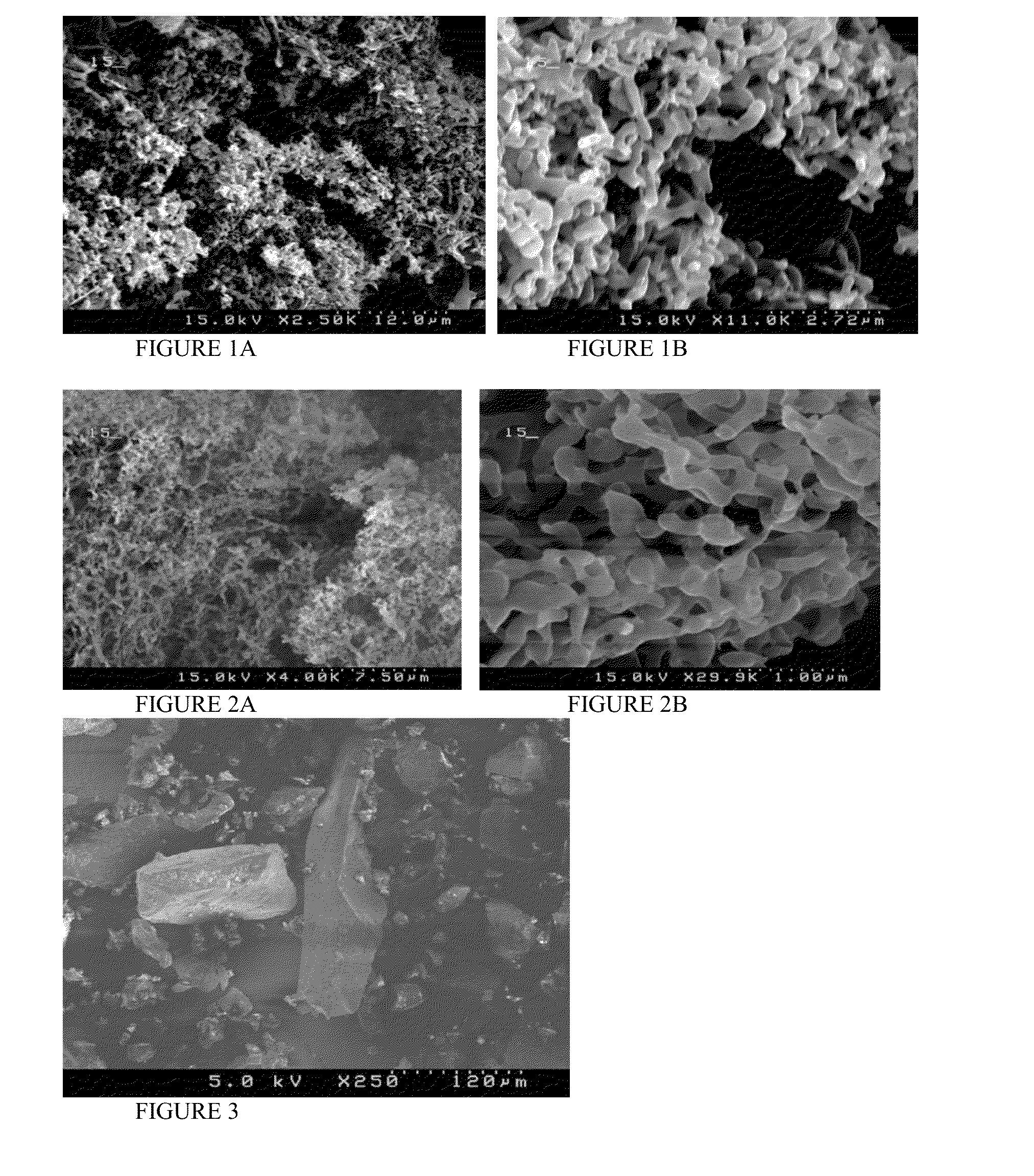 Enhanced delivery of immunosuppressive drug compositions for pulmonary delivery