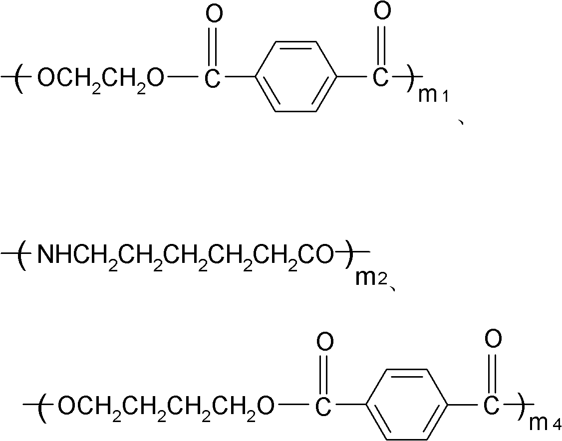 Polyester-polyamide copolymer and synthetic preparation method thereof