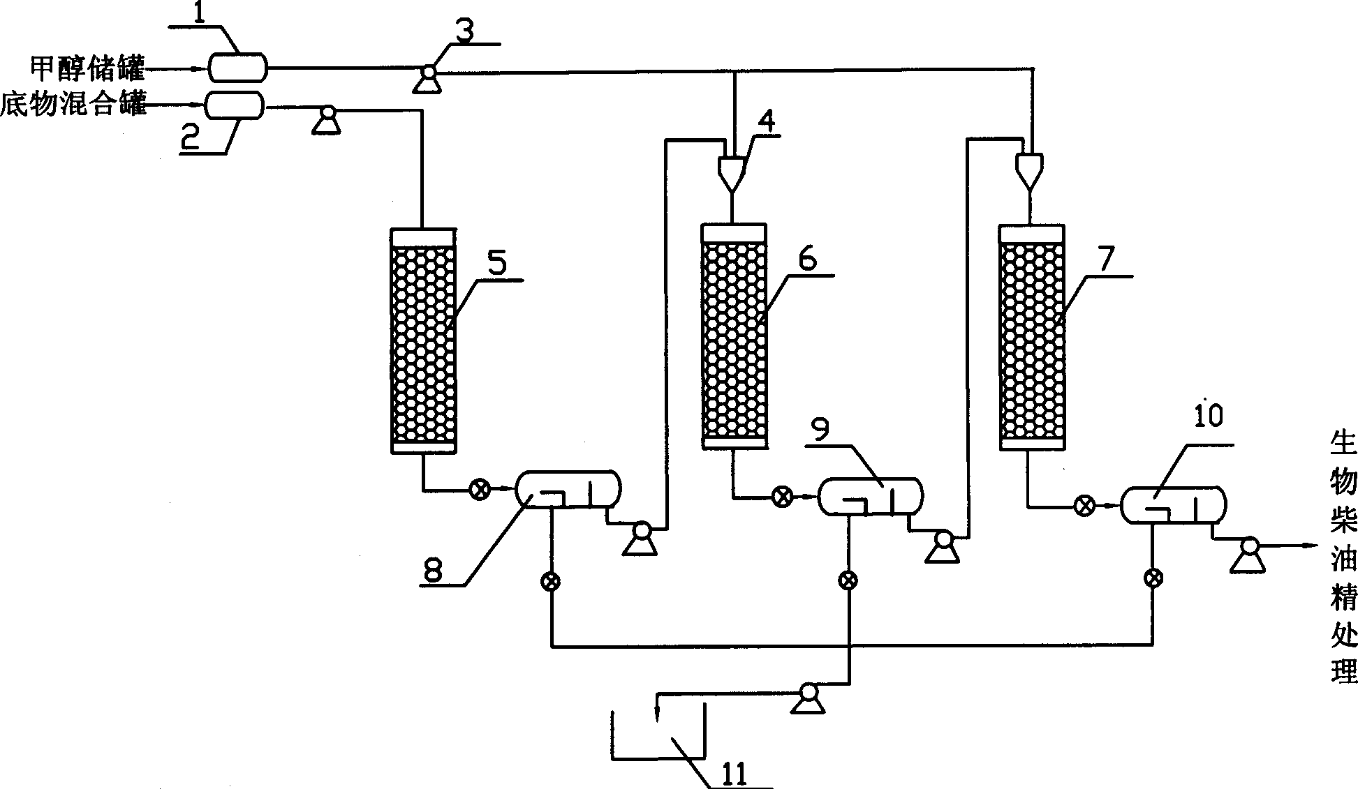 Production of biological diesel oil by fixed enzyme method