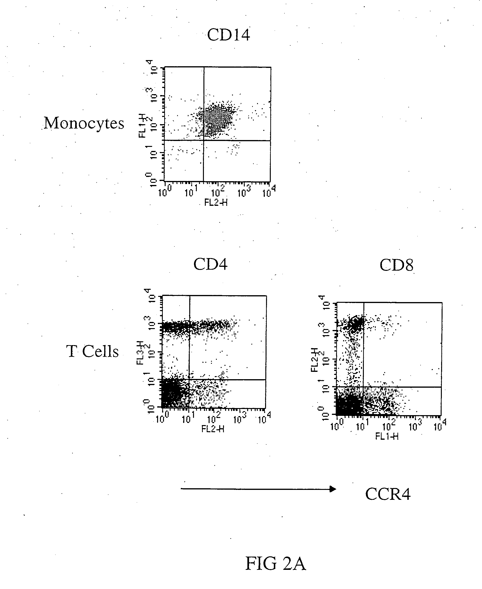 Anti-CCR4 antibodies and methods of use therefor