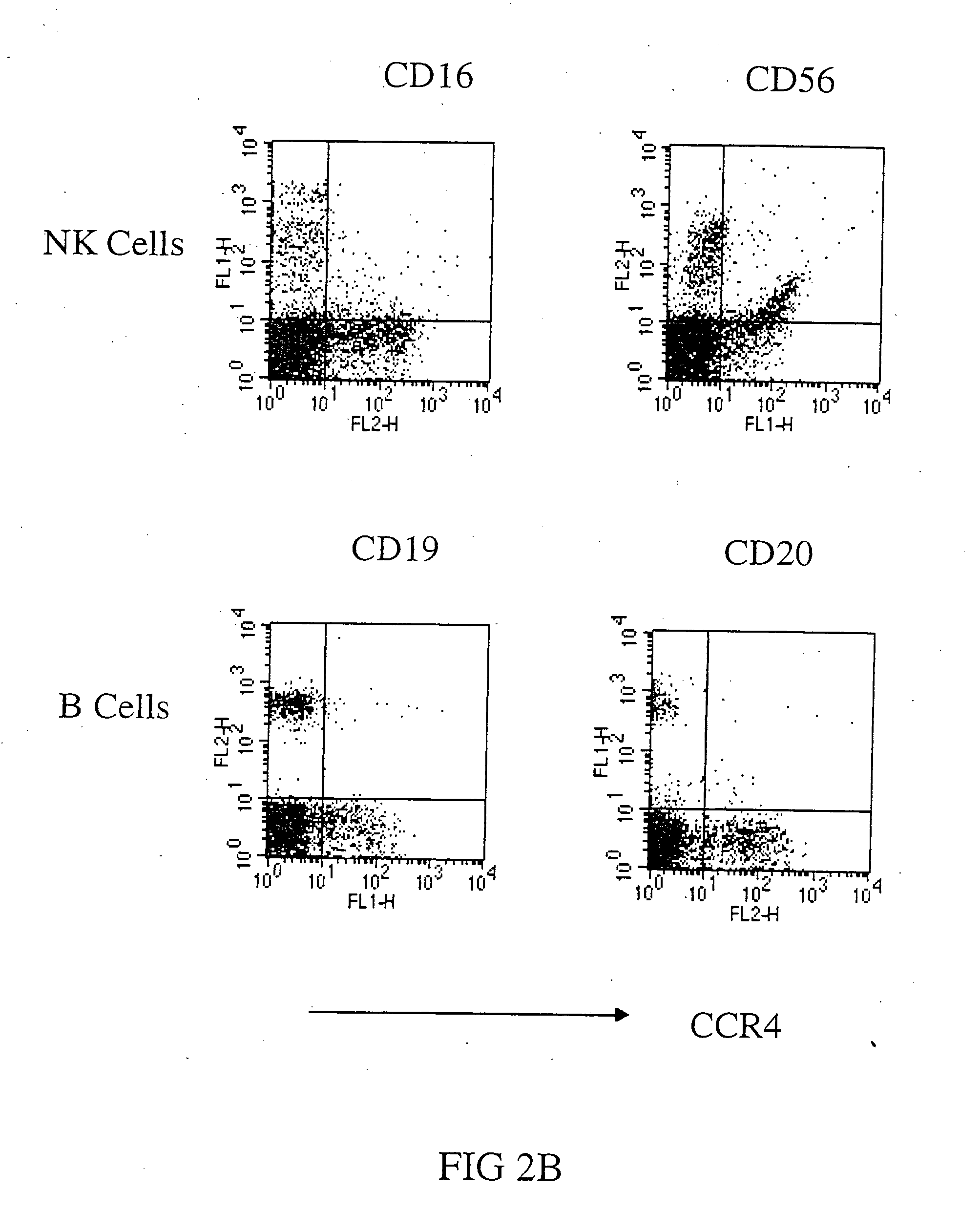 Anti-CCR4 antibodies and methods of use therefor