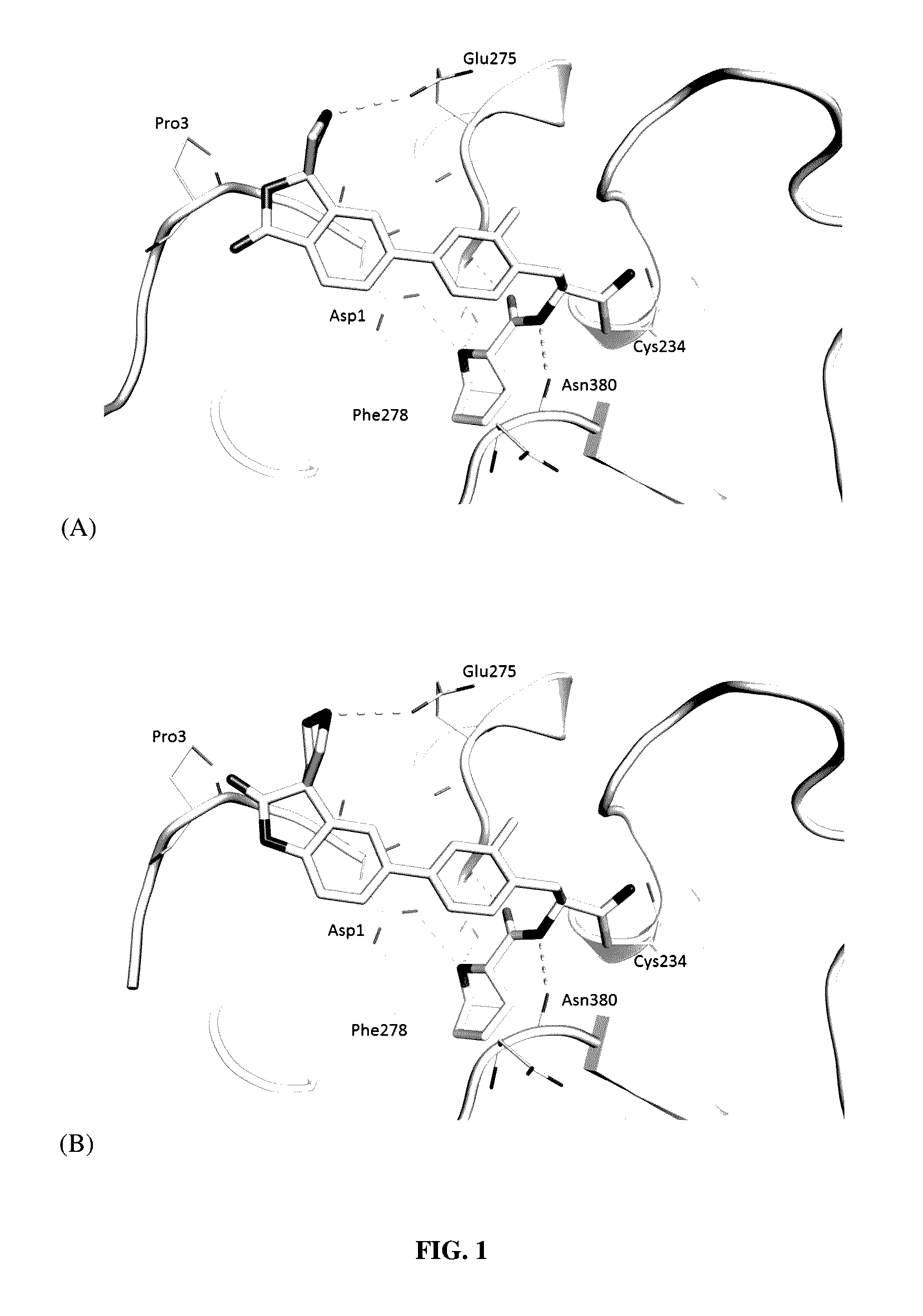 Substituted spirocycles