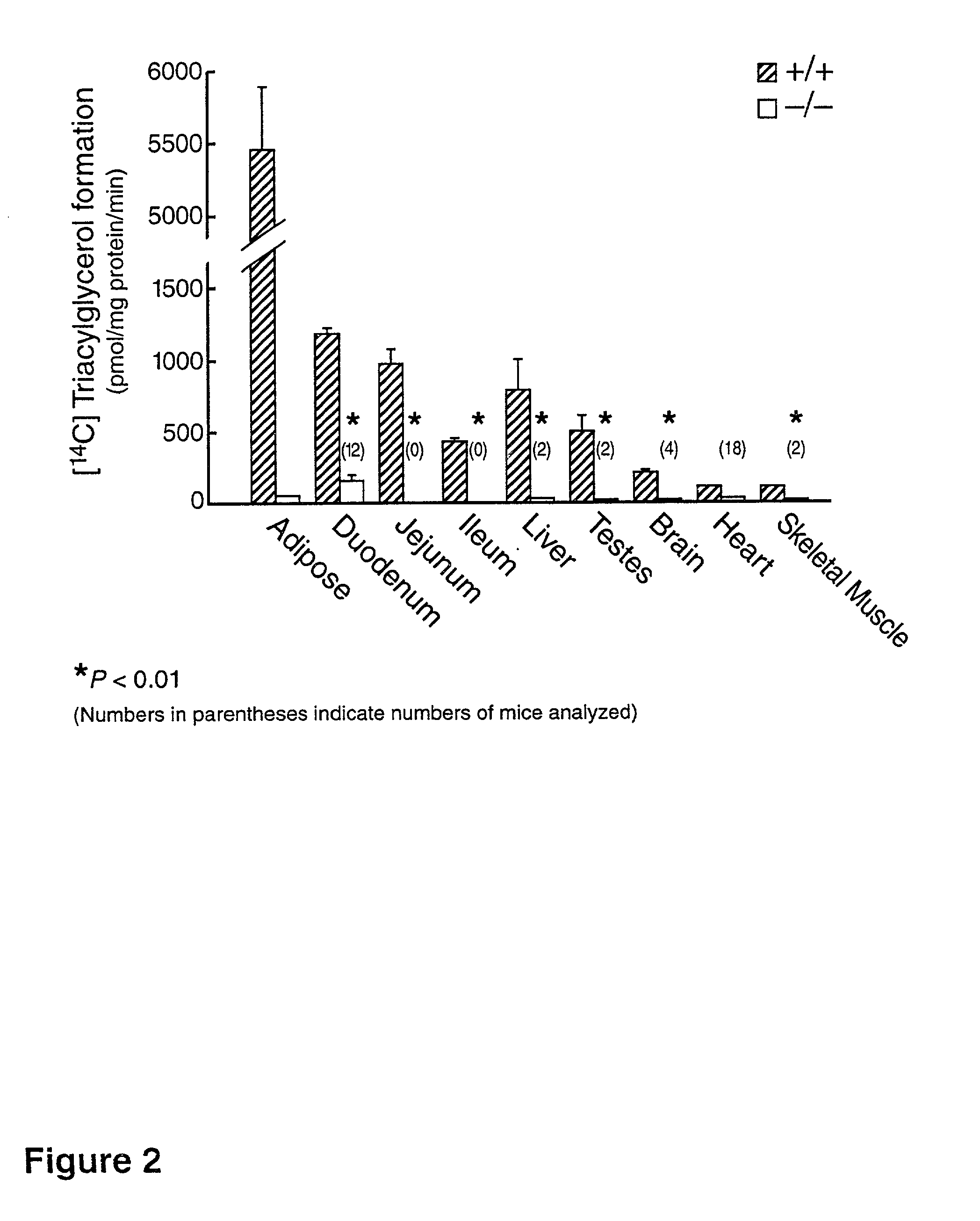 Diacylglycerol O-acyltransferase