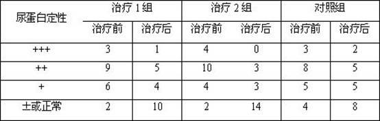 Traditional Chinese medicine composition with function of tonifying qi of kidneys and preparation method thereof