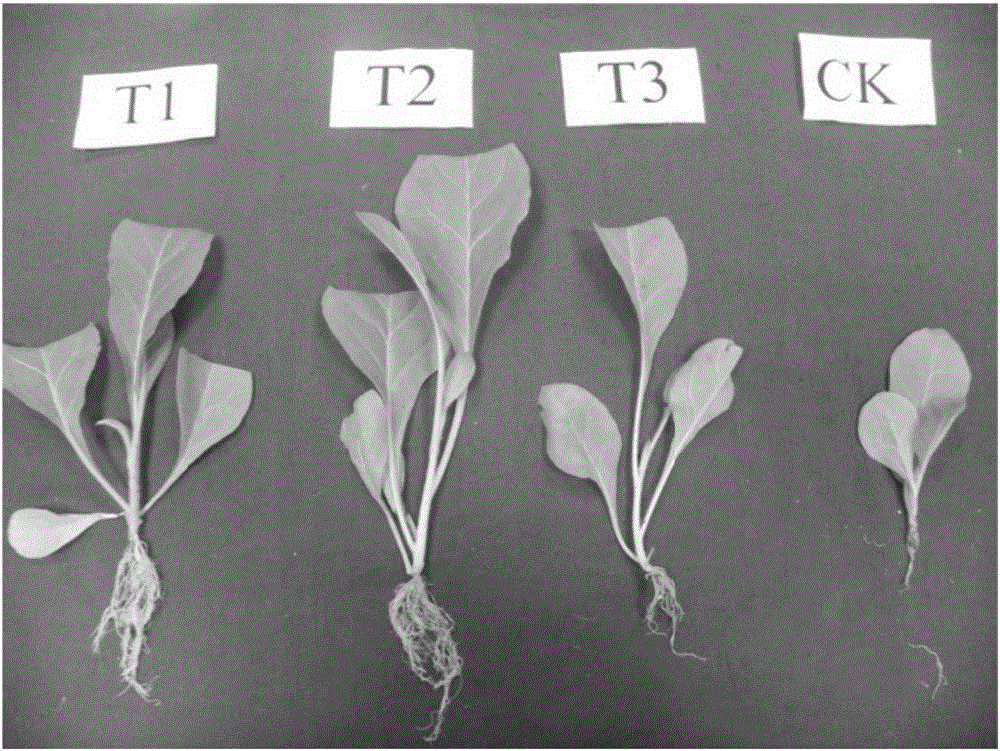 A kind of organic tobacco seedling raising substrate and preparation method and application thereof