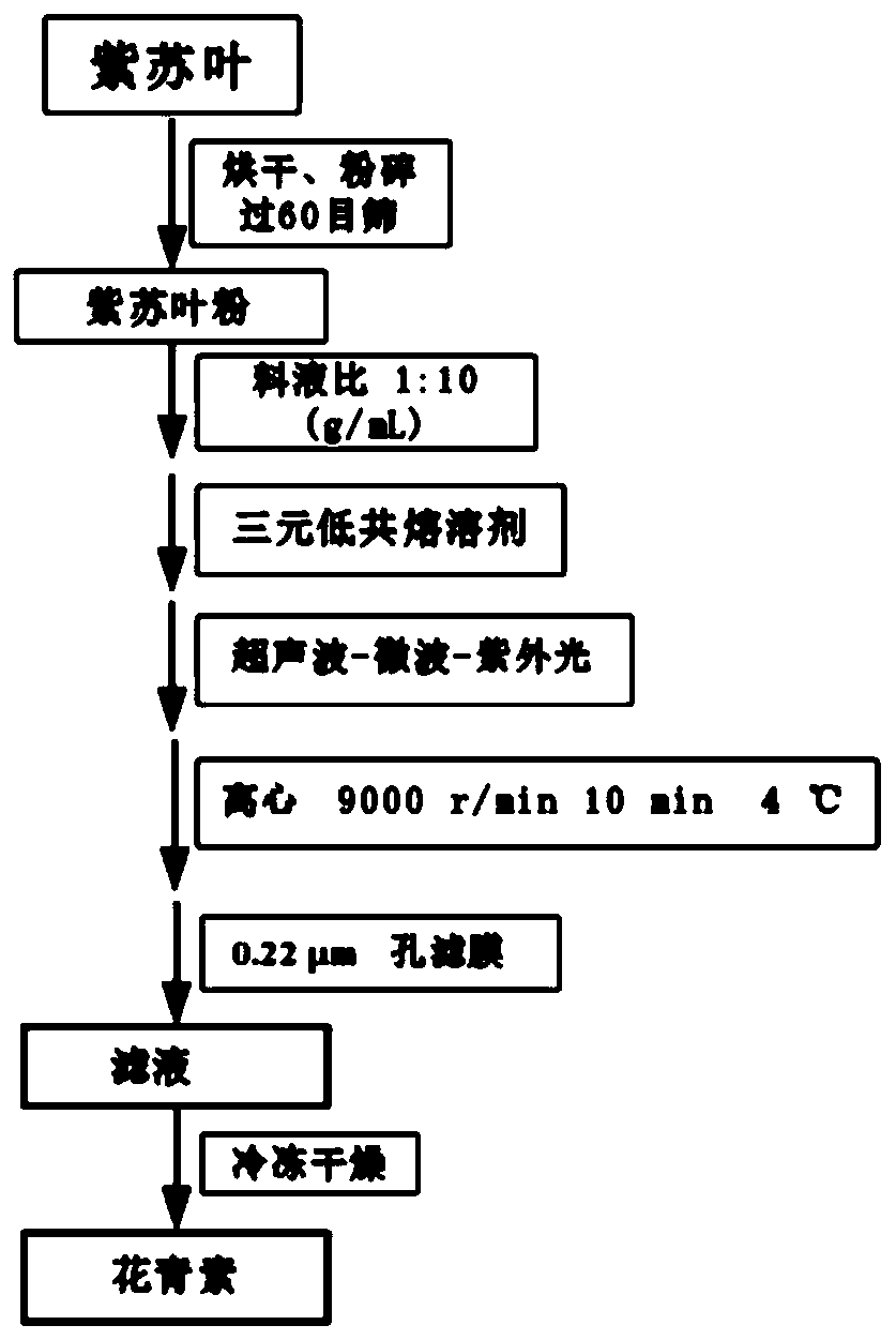 Method for extracting Perilla frutescens leaf anthocyanin by using a ternary eutectic solvent