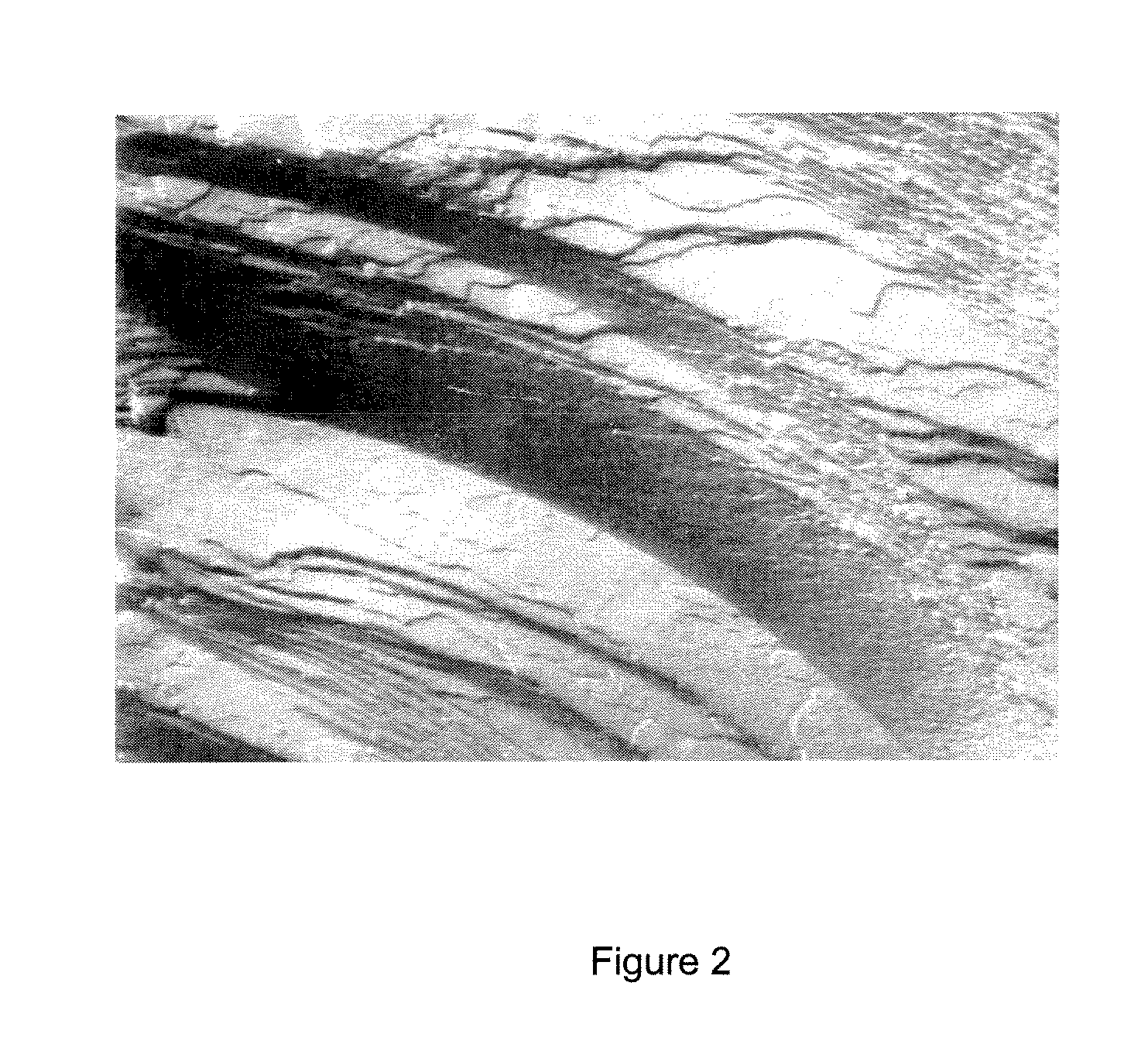 Method for preparing anisotropic particles and devices thereof